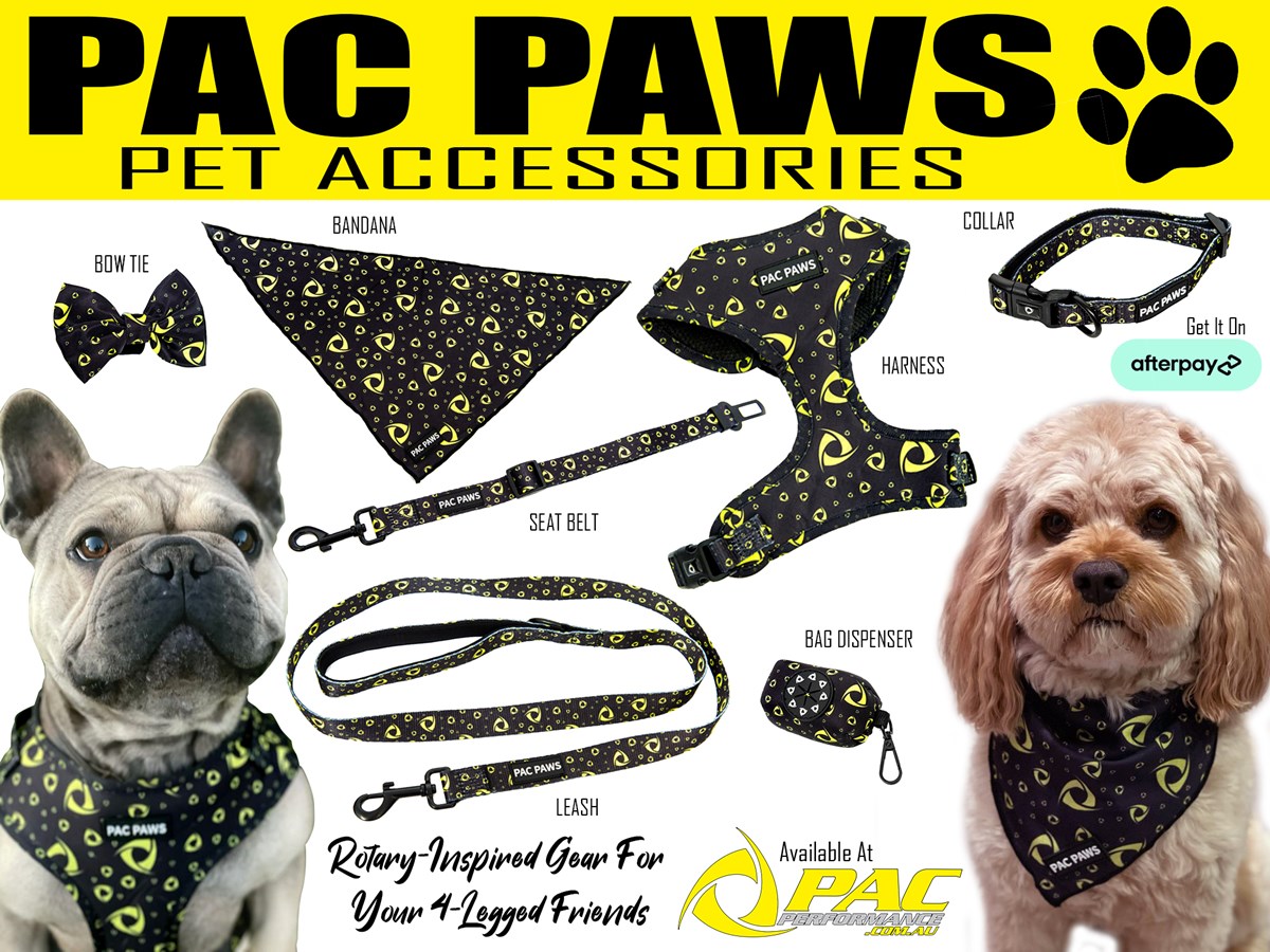 dog accessories afterpay